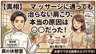 名古屋市昭和区「肩の休憩室」によるポリヴェーガル理論・自律神経を整える整体の解説画像